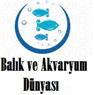 Balık ve Akvaryum Dünyası - Bursa